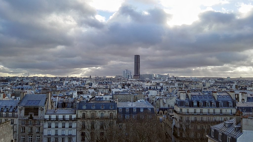 Illustration : Les toits de Paris depuis la Faculté de Médecine